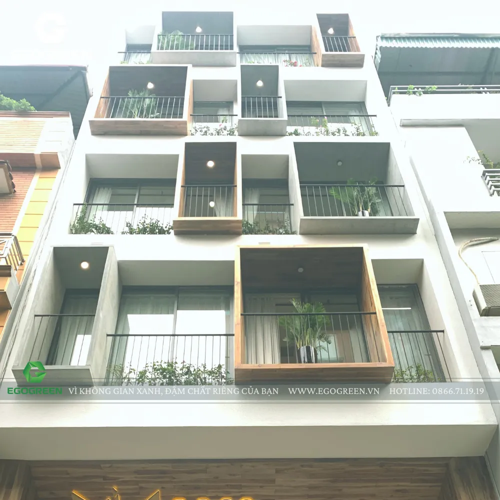 Khách hàng hài lòng với khu vườn trên mái do EGOGREEN thiết kế và thi công.